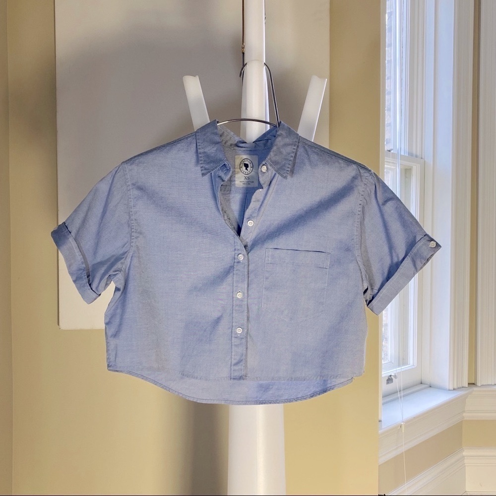 NWOT 2/$30 Aritzia crop Oxford shirt